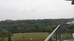 Riversound Residence (D19), Condominium #90581262
